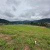 IMG-20250219-WA0287