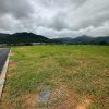 IMG-20250219-WA0289