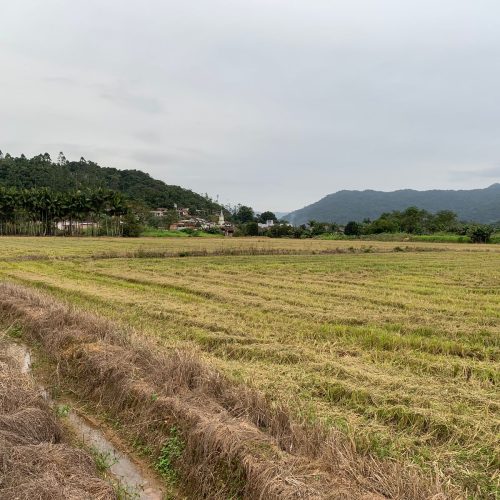 WhatsApp Image 2024-06-06 at 09.13.10 (1)