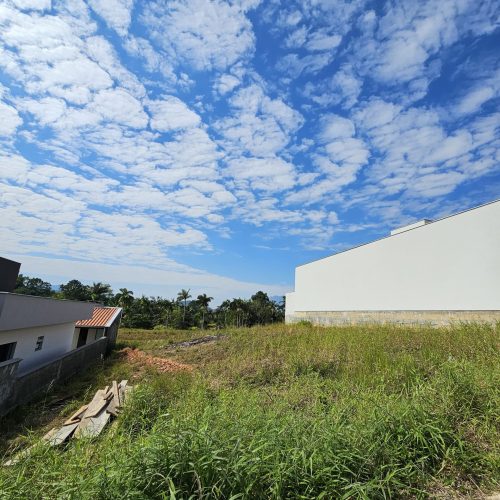 WhatsApp Image 2025-08-26 at 13.46.24