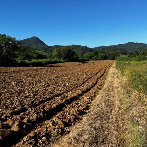 WhatsApp Image 2026-03-03 at 13.33.32